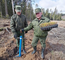 Приумножая лесной фонд страны