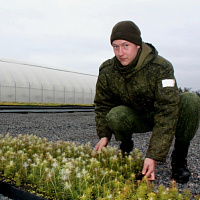 «Неделя леса»