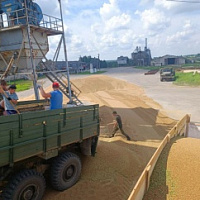 Военнослужащие продолжают оказывать помощь сельским труженикам в уборочной страде