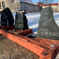 Алели гвоздики на белом снегу