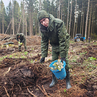 Военнослужащие 86 брс присоединились к акции «Дай лесу новае жыццё!»