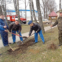 Армия не остаётся в стороне