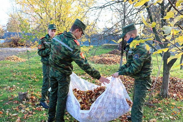 Совместными усилиями