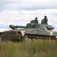 Расцвела буйным цветом «Гвоздика»