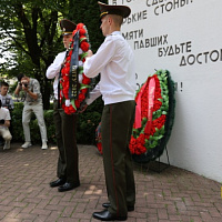 Упали звёзды на погоны