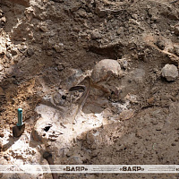 У военнослужащих 52 оспб продолжается поисковый сезон