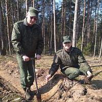 Пусть деревья будут большими