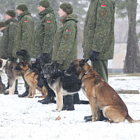 С интересом об армии