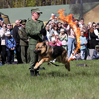 В столичном парке Победы прошли торжественные мероприятия	