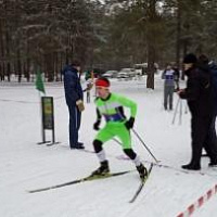 Чемпионат по лыжному спорту