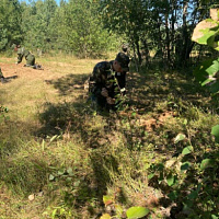 В рамках «курса молодого бойца»	