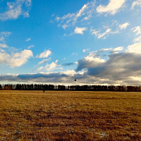 Военнослужащие 5 обр СпН выполнили прыжки с парашютом