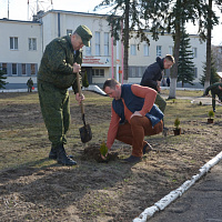 Брестские десантники присоединились к Республиканской акции «Неделя леса»