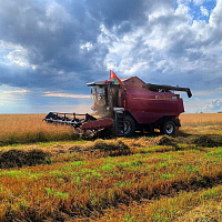 Военнослужащие продолжают оказывать помощь аграриям в уборке урожая