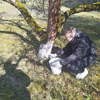 Связисты 62 ЦУС приняли участие в благоустройстве братских могил и захоронений Смолевичского района