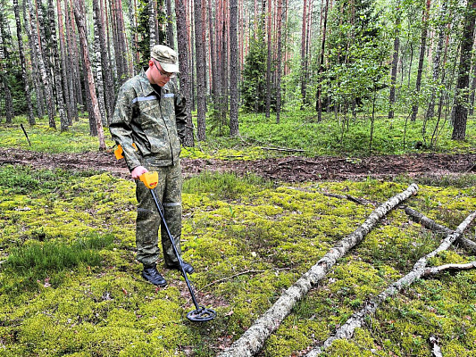 Поисковые работы в Березинском районе