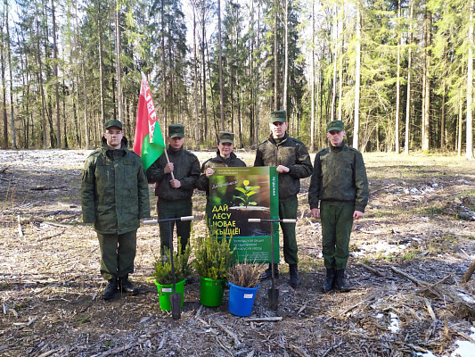 Военнослужащие 297 цуфпс приняли участие в акции «Дай лесу новае жыццё»
