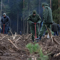 Белорусские военные продолжают участвовать в республиканской акции «Дай лесу новае жыццё!»