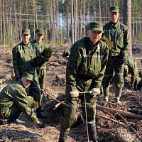 Армия не остаётся в стороне