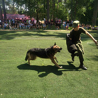 «Зарница» для юных патриотов