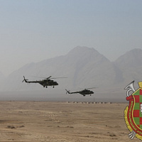 В поиск уходит разведка