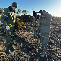 Военнослужащие Гомельского гарнизона продолжают принимать участие в акции «Дай лесу новае жыццё!»