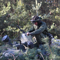Задачи выполняются