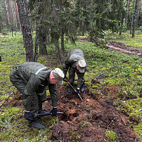 Поисковые работы в Березинском районе