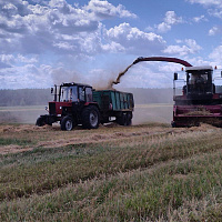 Военнослужащие 36 дмостбр продолжают оказывать помощь в уборке урожая
