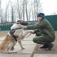Лохматые часовые