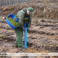 Военнослужащие Вооруженных Сил Беларуси участвуют в добровольной общественной акции «Лес! Дабро! Парадак!»