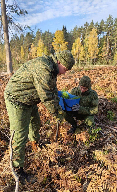 Белорусские военнослужащие продолжают участвовать в акции «Дай лесу новае жыццё!»