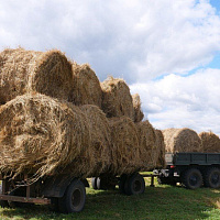  Белорусские военнослужащие продолжают оказывать помощь в уборке урожая