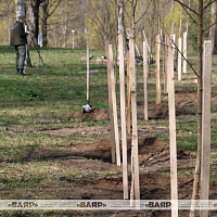 Сотрудники Военного информационного агентства «Ваяр» приняли участие в республиканском субботнике