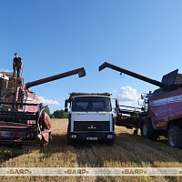 Военнослужащие сводного взвода продолжают оказывать помощь аграриям в сборе урожая