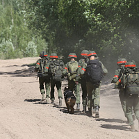 «Страж порядка»