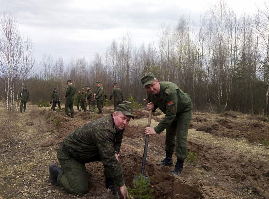 Сделали благородное дело