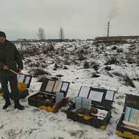 Изучено на практике