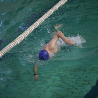 Победили сильнейшие