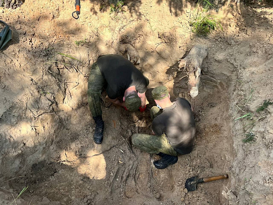 Поисковые работы 52 оспб