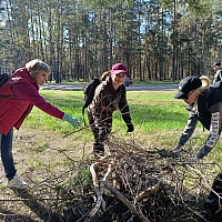 Работать вместе – веселей!