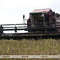 Военнослужащие оказывают помощь в уборке урожая