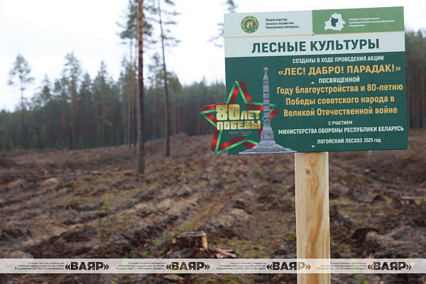 Военнослужащие Вооруженных Сил Беларуси участвуют в добровольной общественной акции «Лес! Дабро! Парадак!»