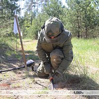 На территории бывшего военного городка Павловка выполняются задачи по сплошной очистке местности