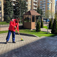 Не остались в стороне