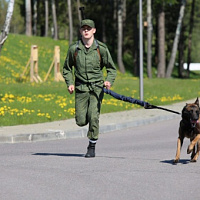 Прошел отбор участников для участия в конкурсе Армейских международных игр «Верный друг»