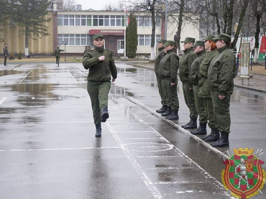 Сдают экзамен