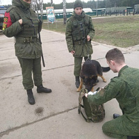 Во главе угла — поддержание порядка и воинской дисциплины