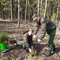 Военнослужащие 297 цуфпс приняли участие в акции «Дай лесу новае жыццё»