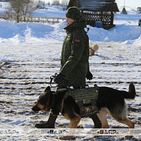 В историко-культурном комплексе «Линия Сталина» при поддержке Министерства обороны прошло праздничное мероприятие